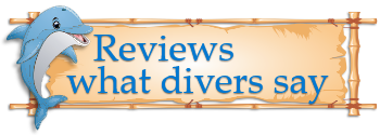 PRODIVER Reviews